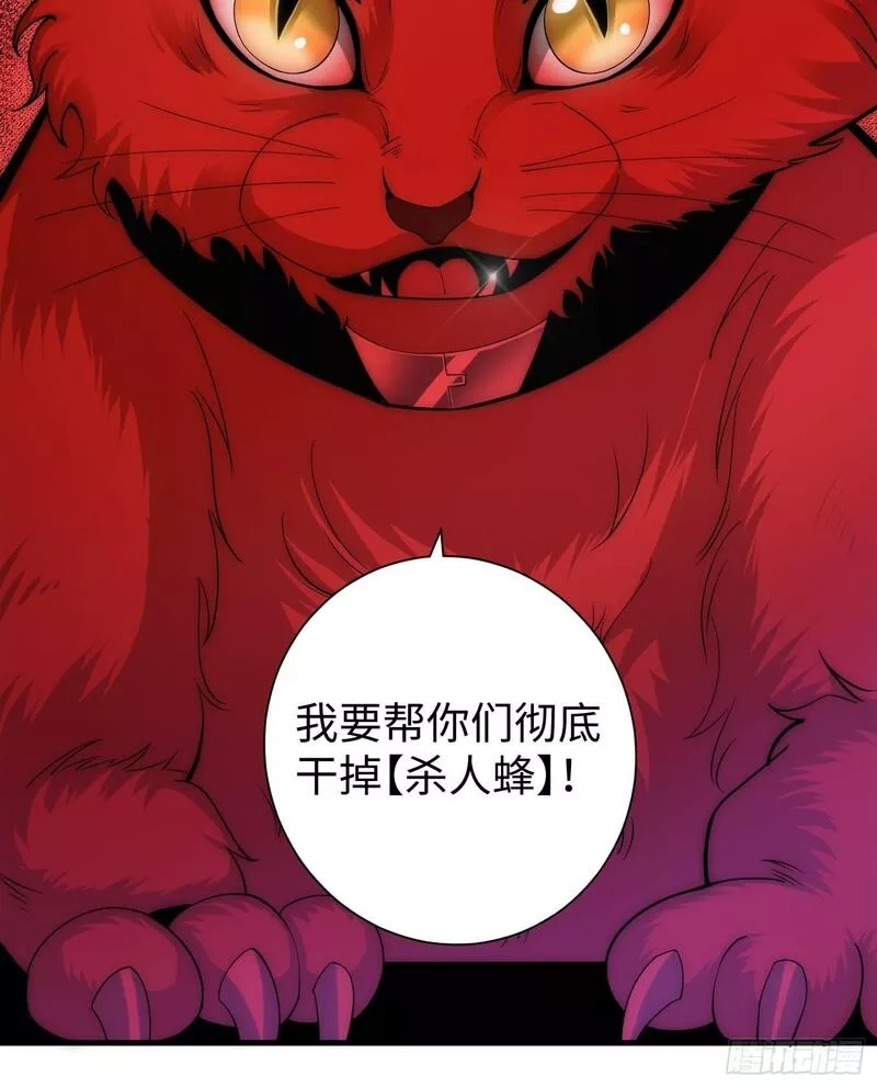 我真的好怕啊！,042 审判猫咪,第42张